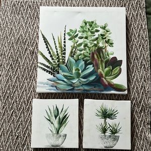 Succulent canvases